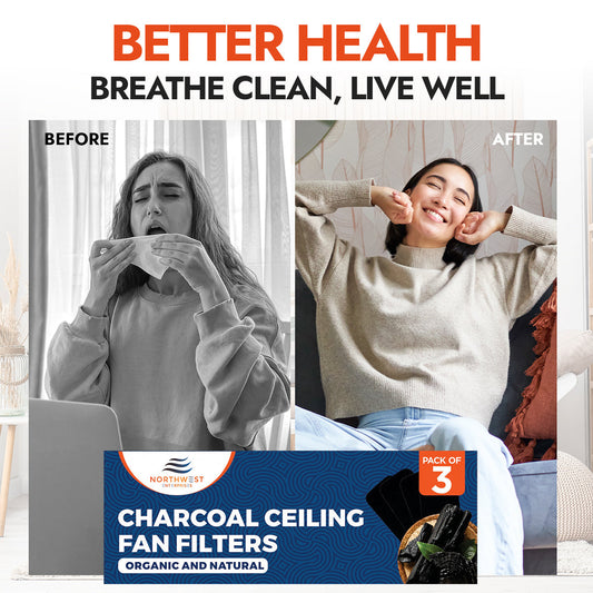 Turn your ceiling fan into an air purifier!
