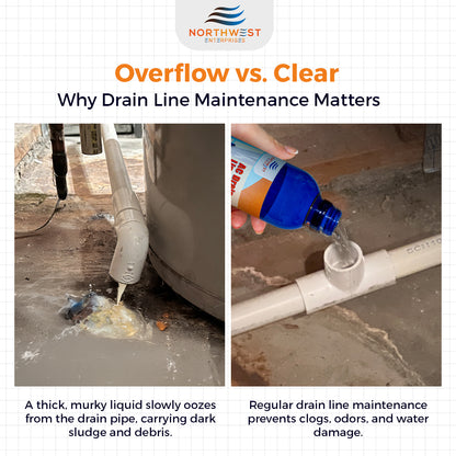 AC Drain Line Cleaner and Unclogger - Air Conditioner Cleaner Prevents Build-Up for AC Units, Dehumidifiers, Ice Machines, & More (16 ounces)